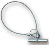 Wire Noose Pig Holder