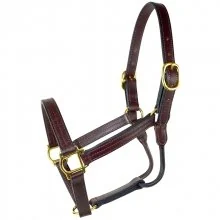 Leather halter with brass rings